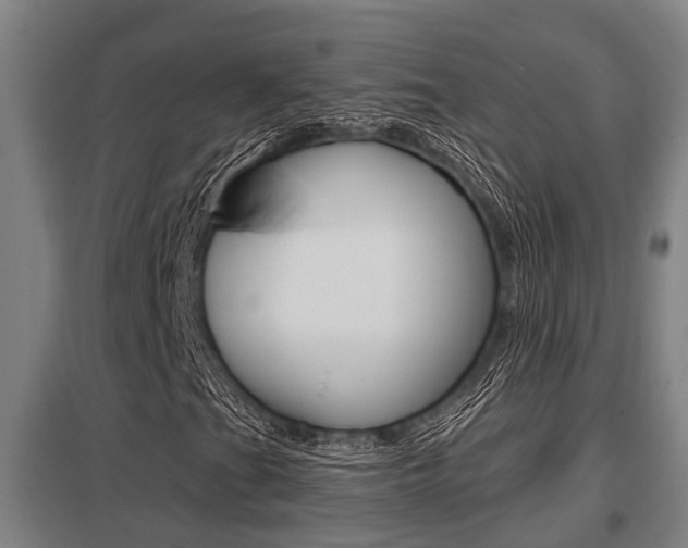 X0000098031201200803280723