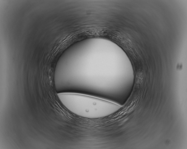 X0000098031202200803280723