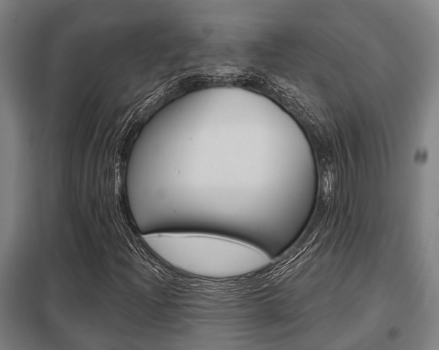 X0000098031204200803280723
