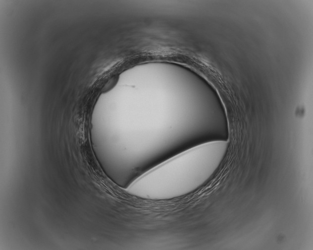 X0000098031205200803280723