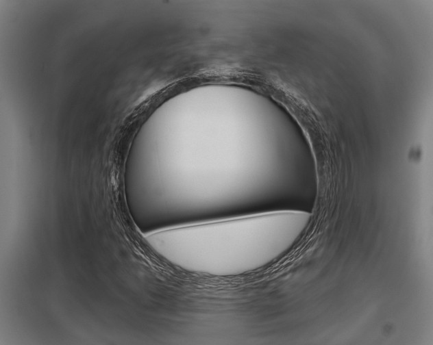 X0000098031206200803280723