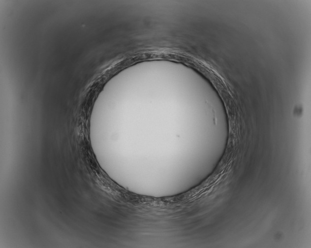X0000098031207200803280723