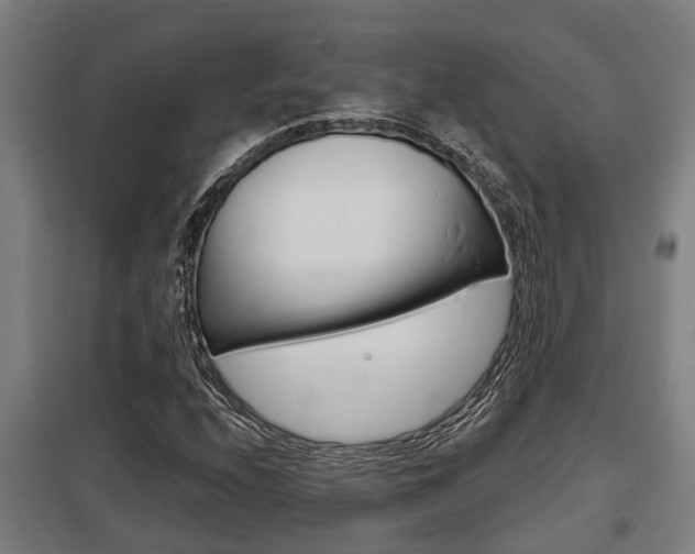X0000098031208200803280723