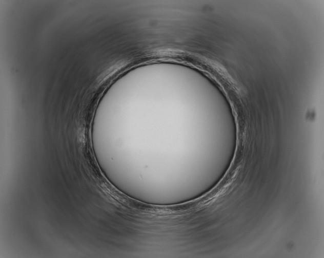 X0000098031209200803280723
