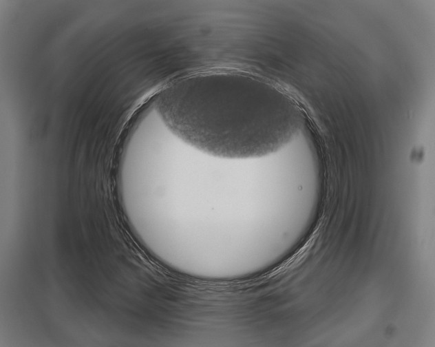 X0000098031210200803280723