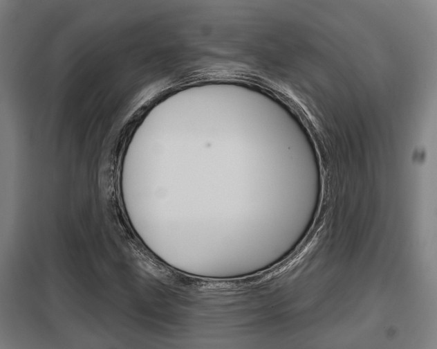 X0000098031211200803280723