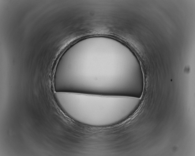 X0000098031212200803280723
