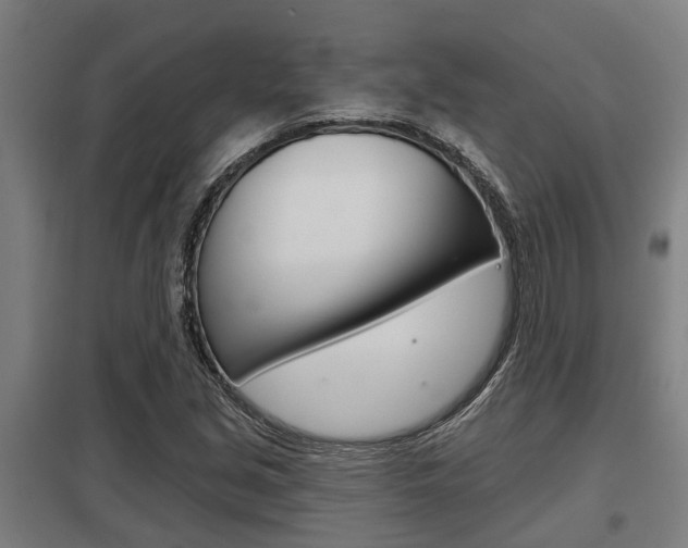 X0000098031213200803280723