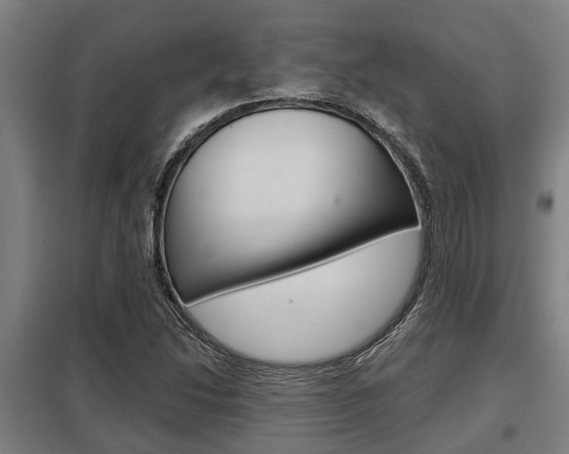 X0000098031214200803280723
