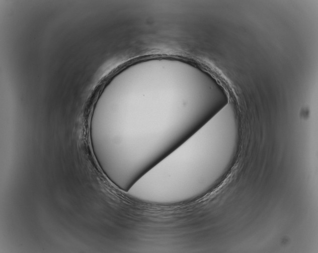 X0000098031215200803280723