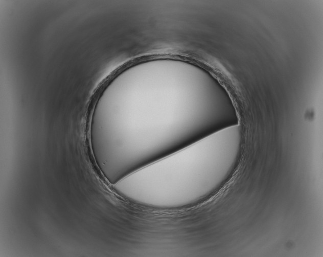 X0000098031216200803280723