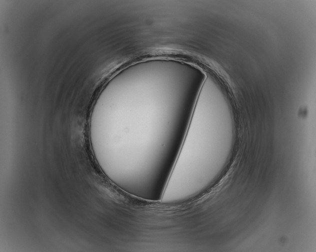 X0000098031217200803280723