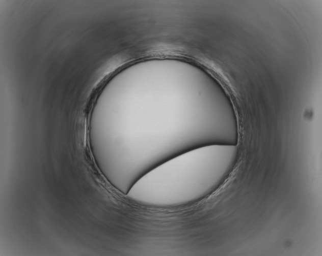 X0000098031219200803280723