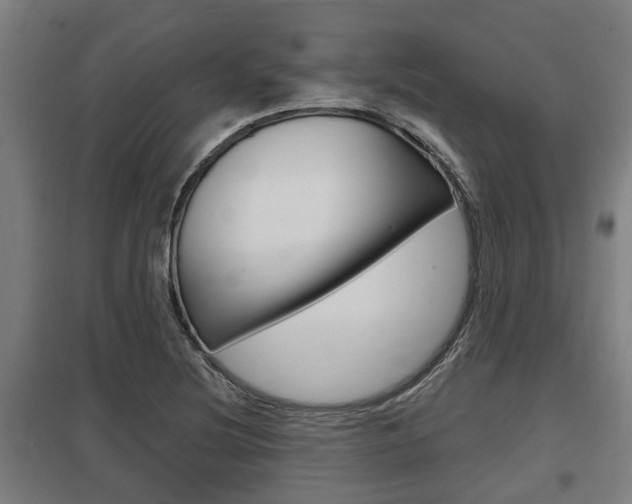 X0000098031220200803280723