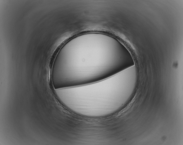 X0000098031221200803280723