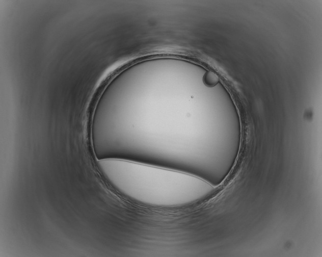 X0000098031222200803280723