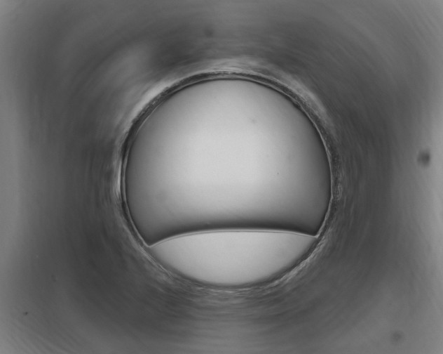 X0000098031224200803280723