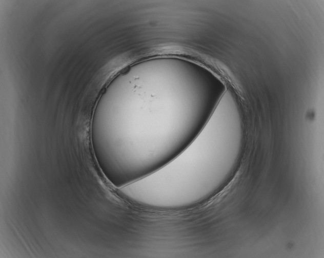 X0000098031225200803280723