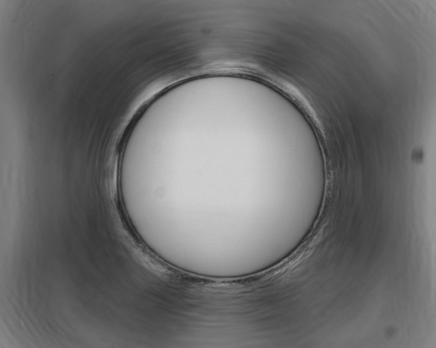 X0000098031227200803280723