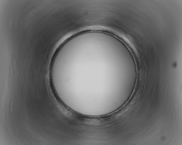 X0000098031229200803280723