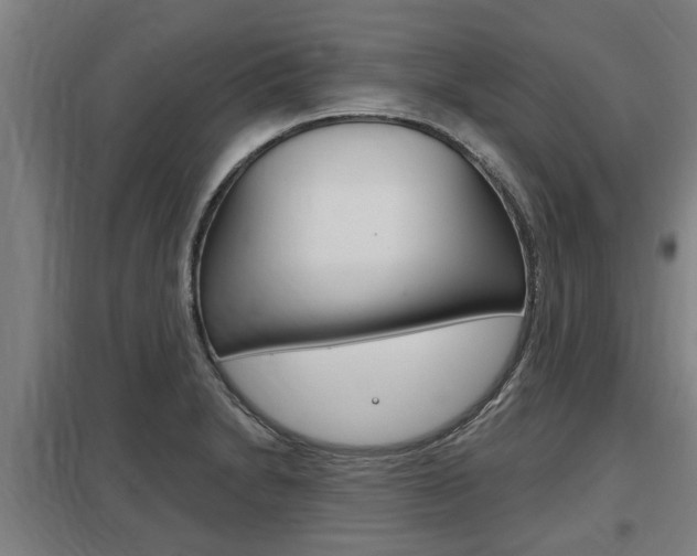 X0000098031230200803280723