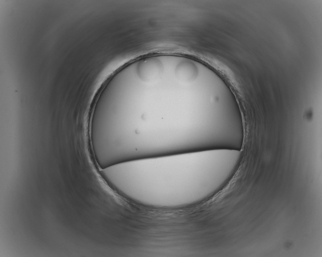 X0000098031231200803280723