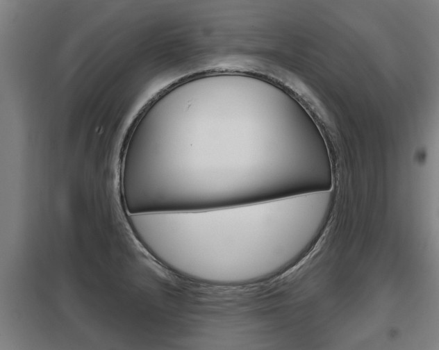 X0000098031232200803280723