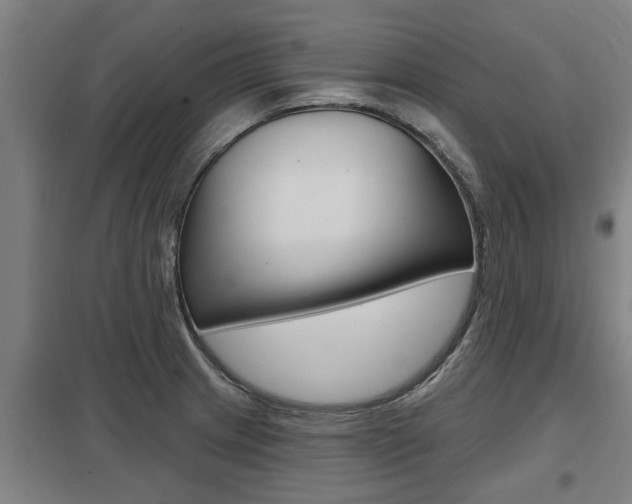 X0000098031233200803280723