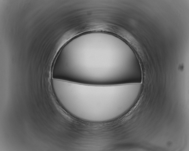 X0000098031234200803280723
