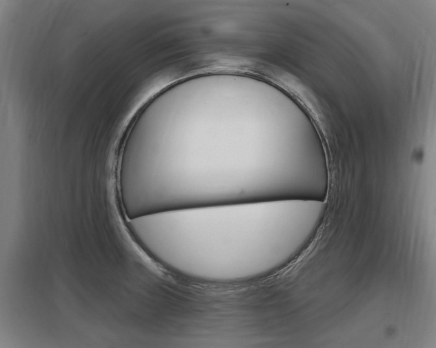 X0000098031235200803280723