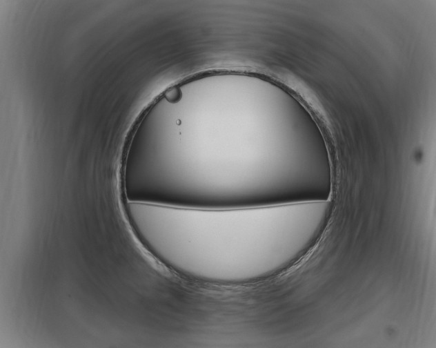 X0000098031237200803280723