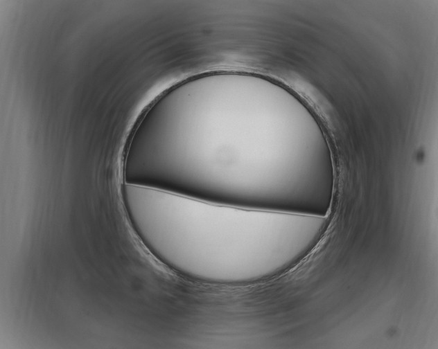 X0000098031238200803280723