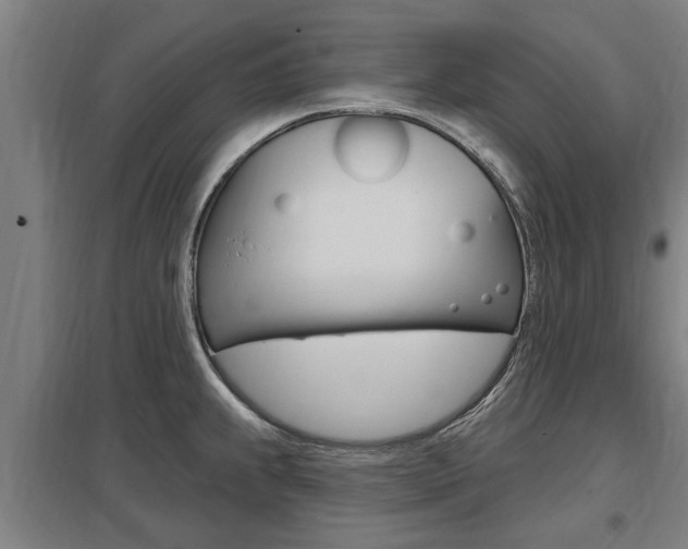 X0000098031239200803280723
