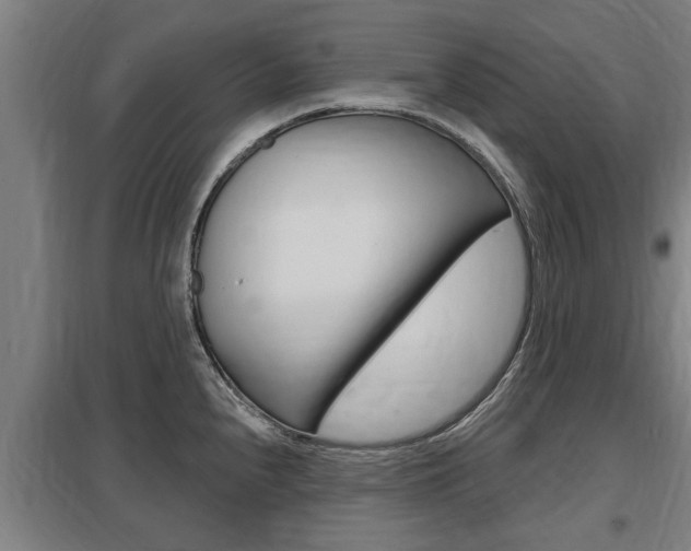 X0000098031240200803280723