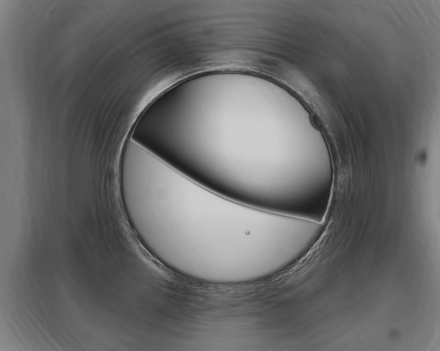 X0000098031242200803280723