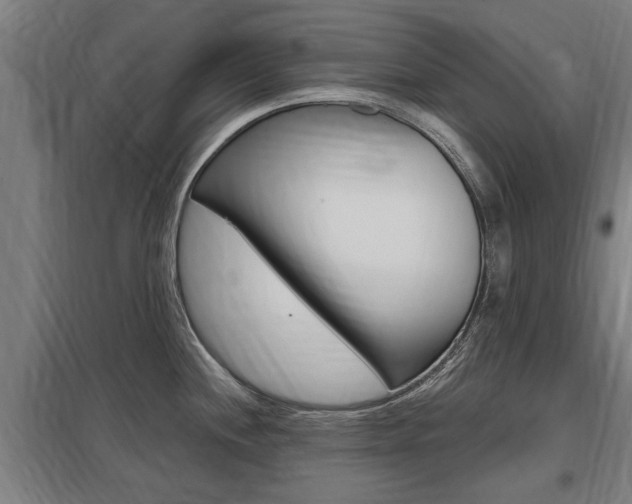X0000098031244200803280723
