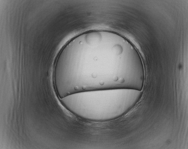 X0000098031245200803280723