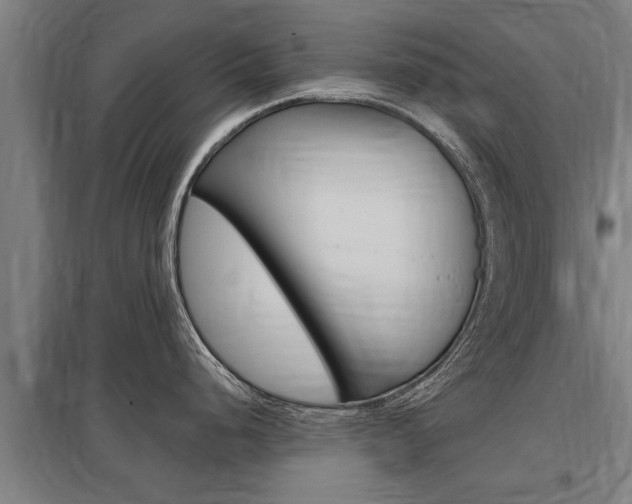 X0000098031248200803280723