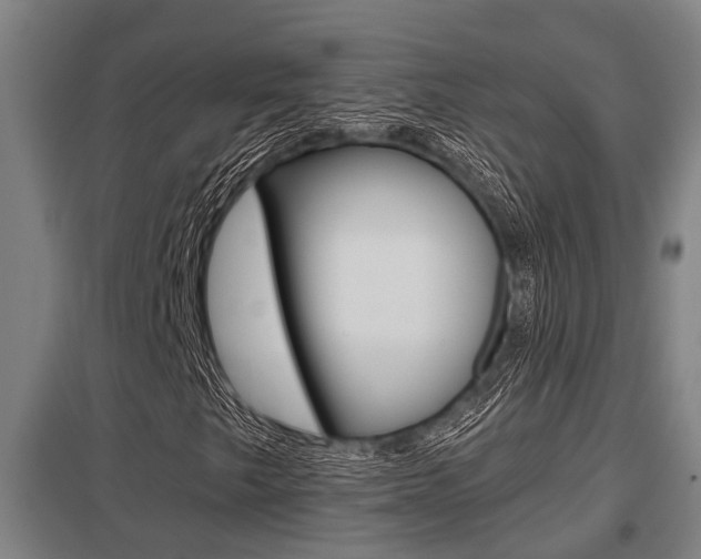 X0000098031249200803280723