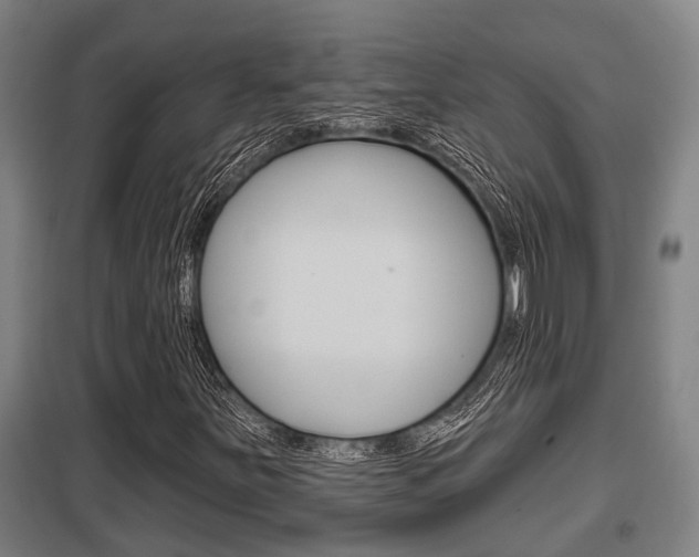 X0000098031251200803280723