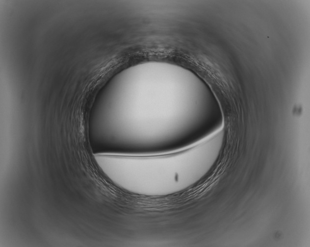X0000098031252200803280722