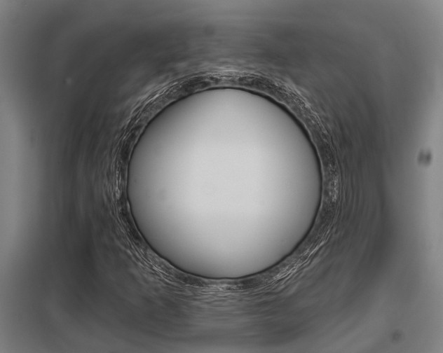 X0000098031253200803280722