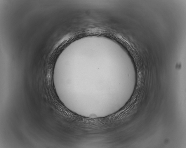 X0000098031254200803280722