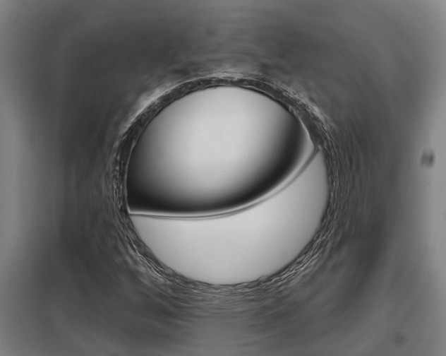 X0000098031256200803280722