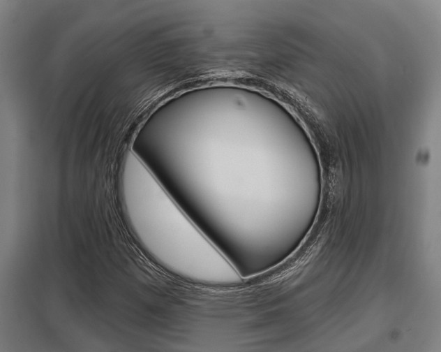 X0000098031257200803280722