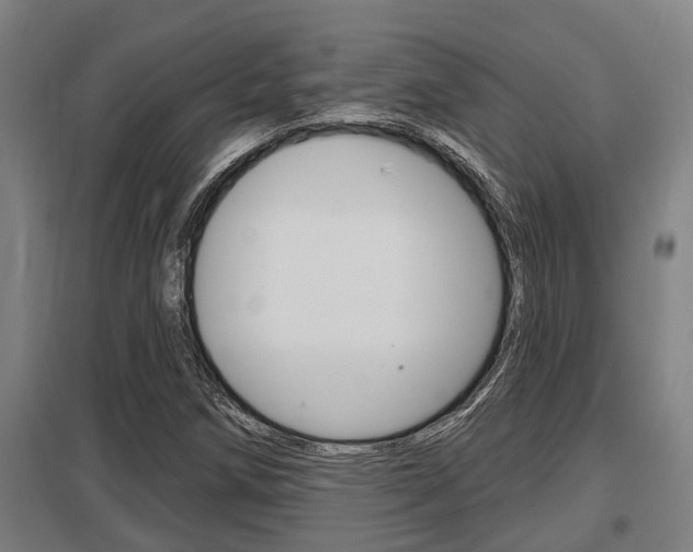 X0000098031258200803280722