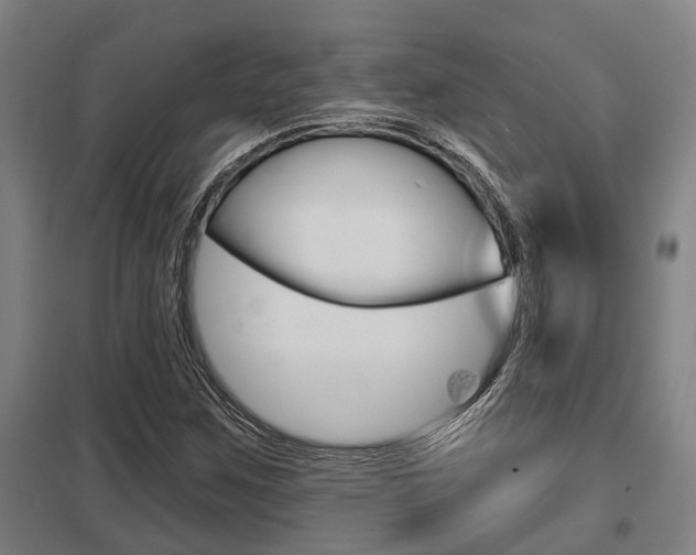 X0000098031259200803280722
