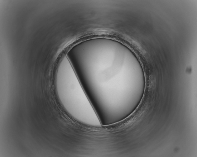 X0000098031261200803280722