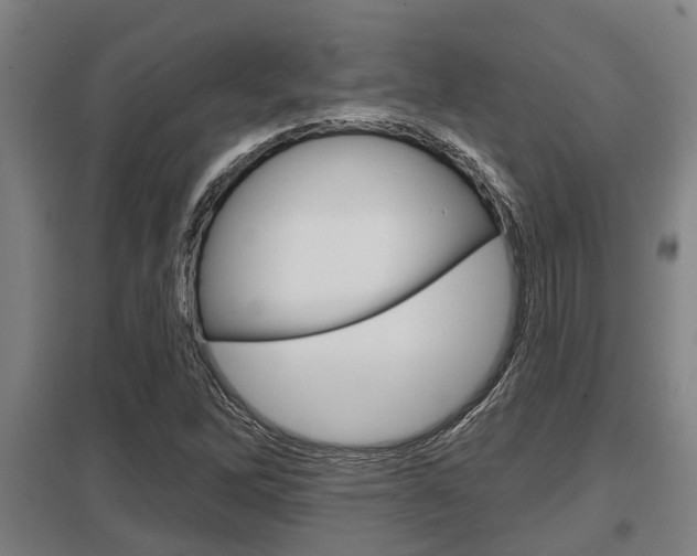 X0000098031262200803280722