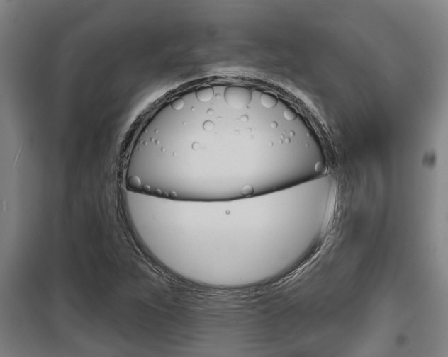 X0000098031263200803280722